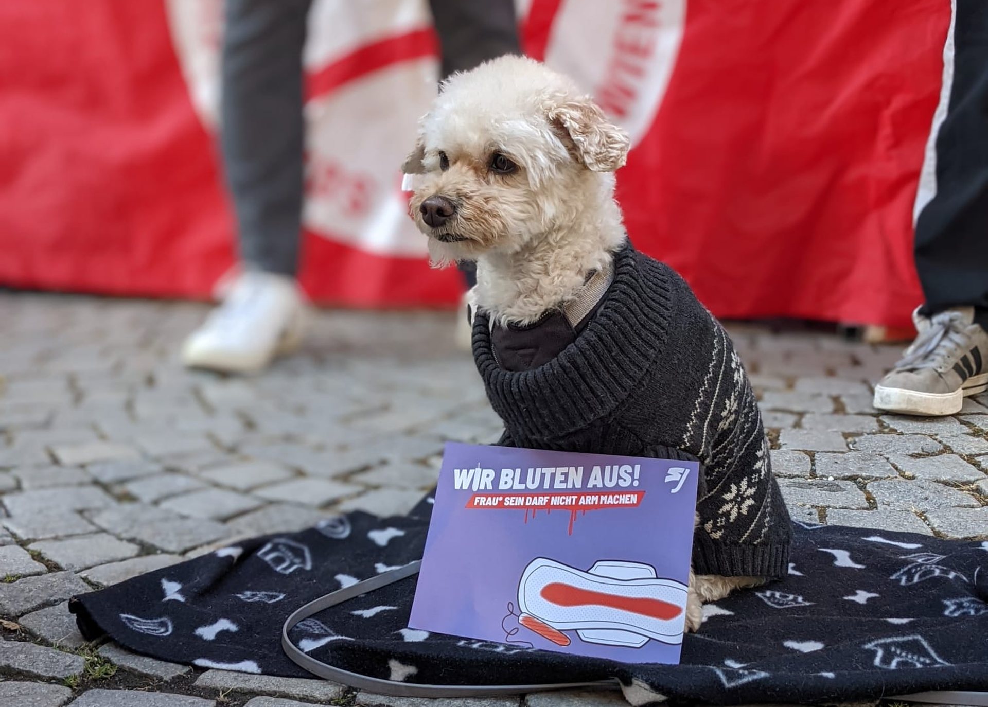 Hund mit Flyer zur Kampagne gegen Periodenarmut