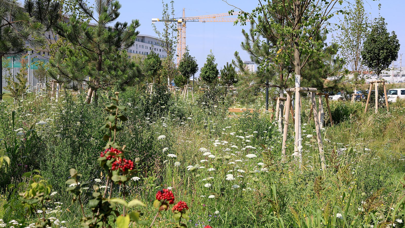 Walter-Kuhn-Park
Copyright: Stadt Wien/Martin VOTAVA 