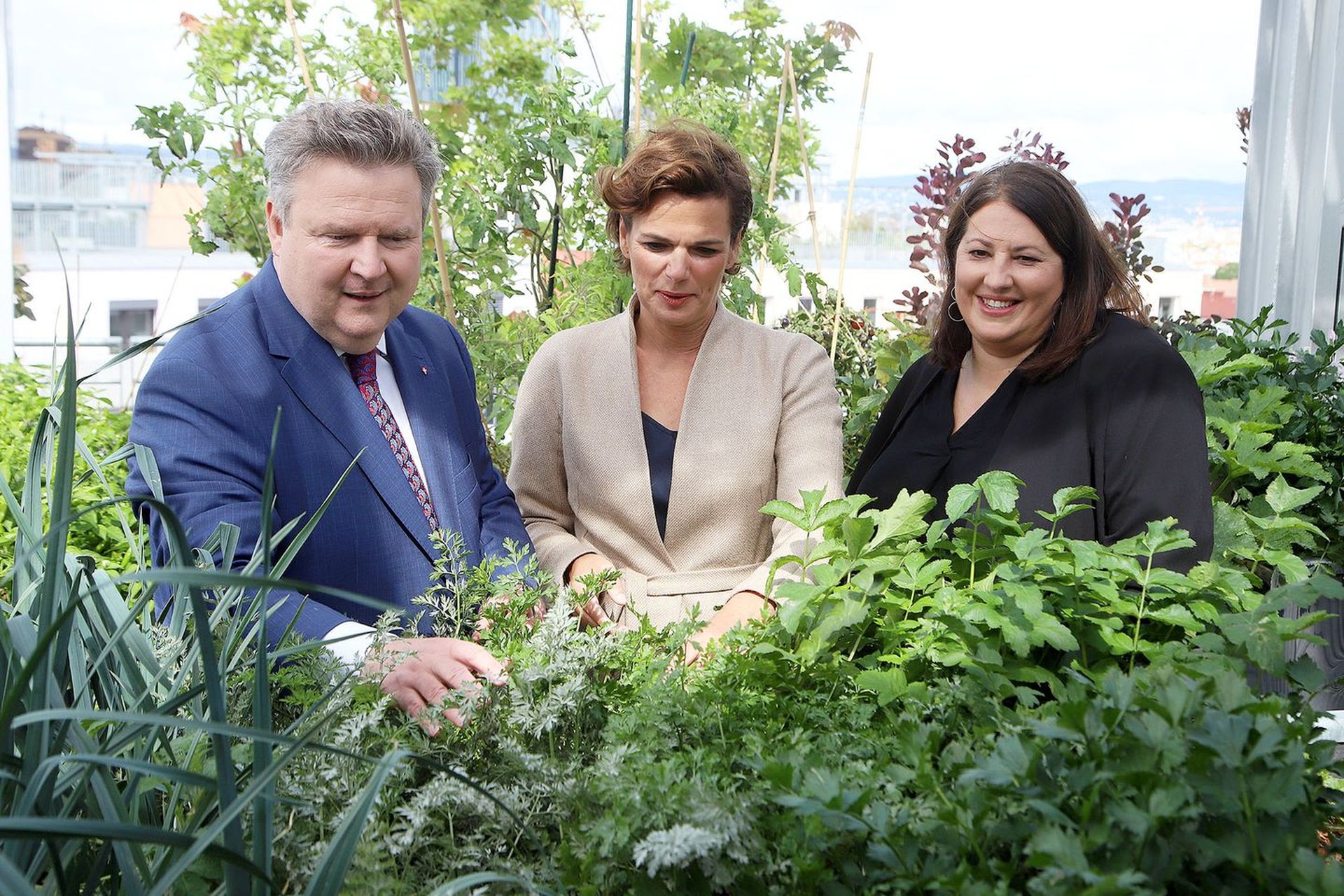 SPÖ Wien