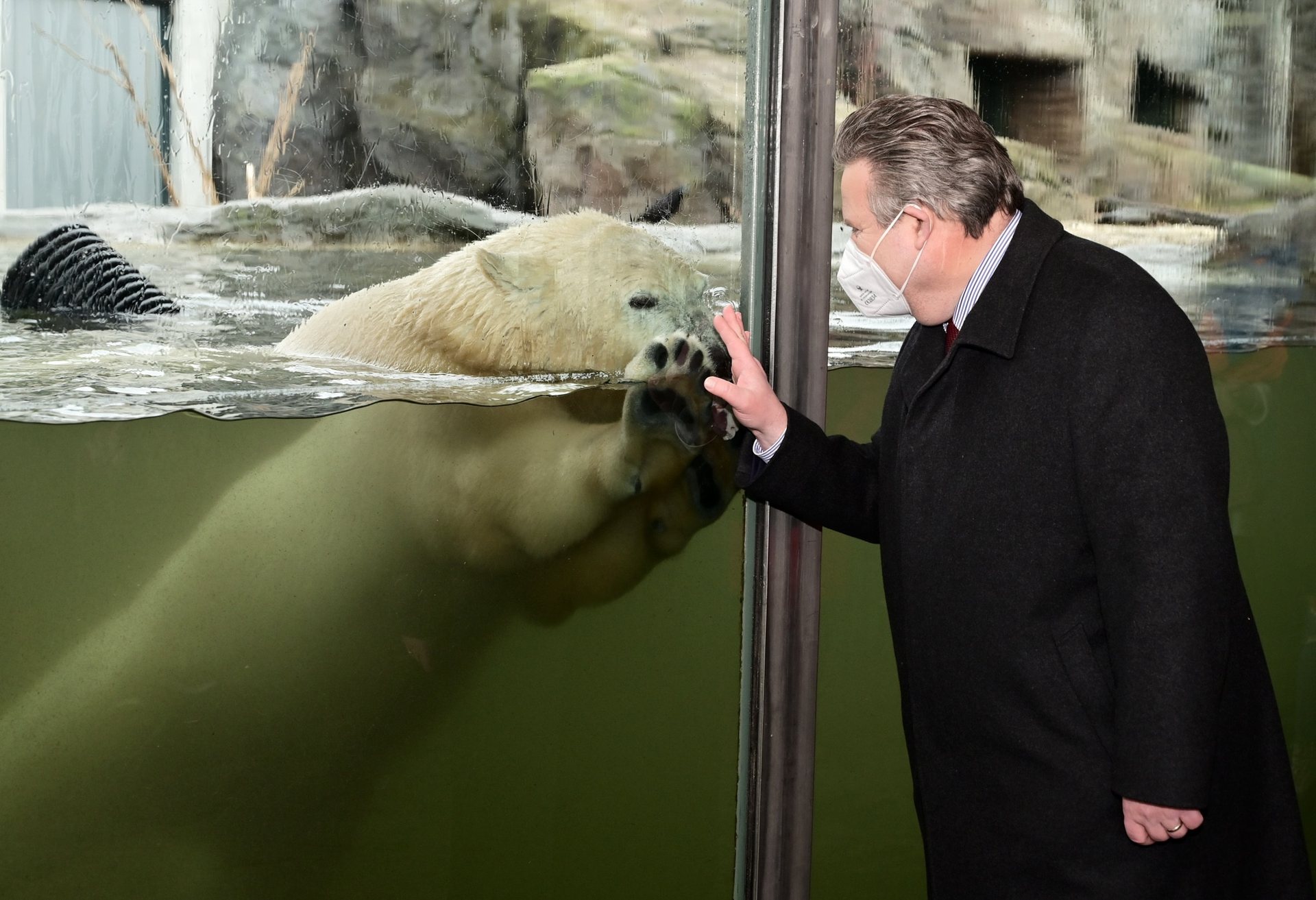 SPÖ Wien