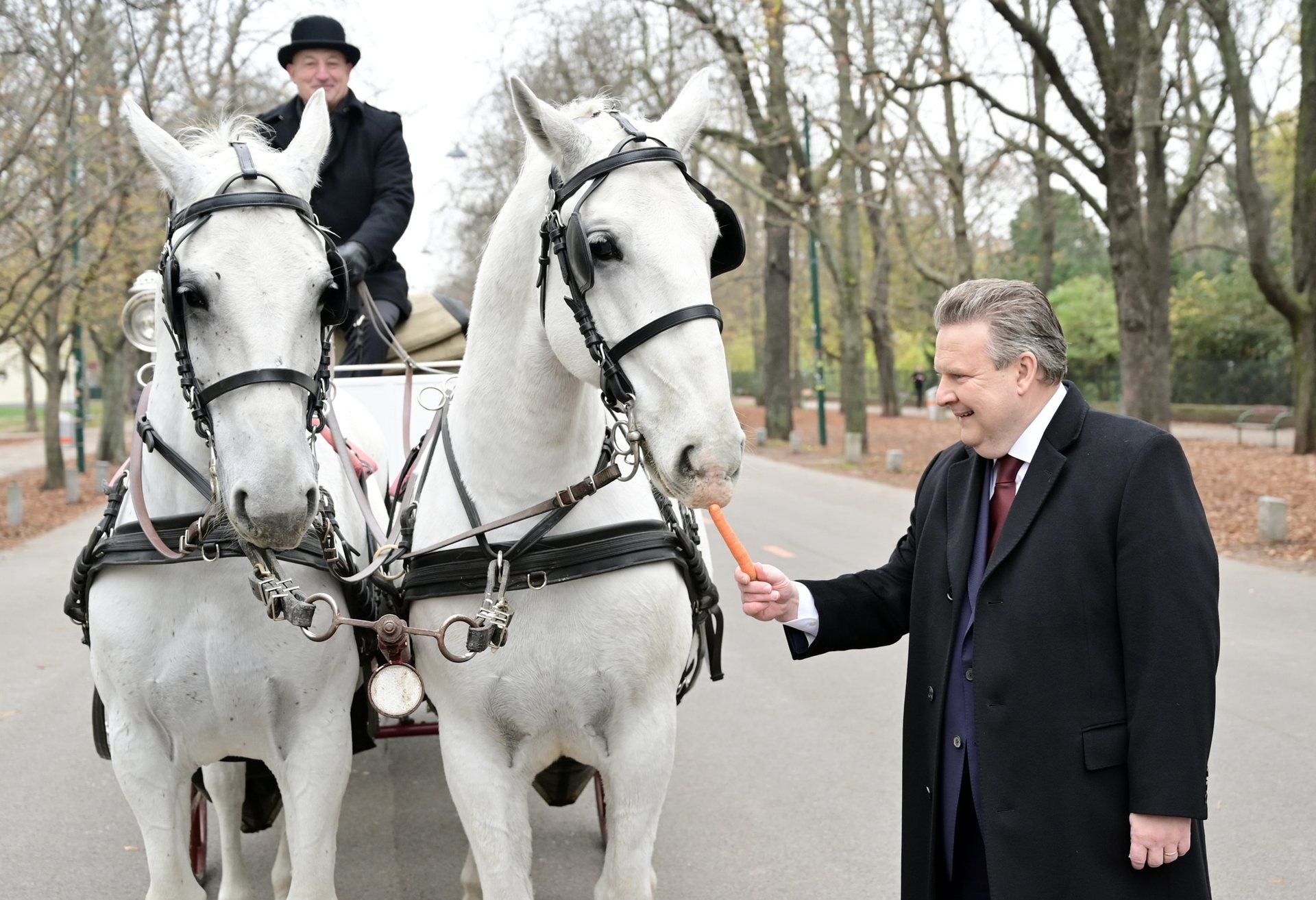 SPÖ Wien