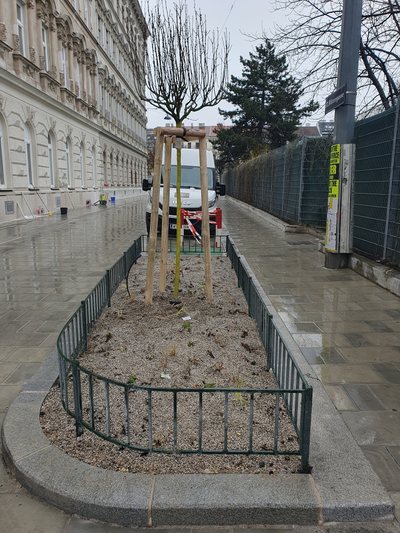 SPÖ Wien