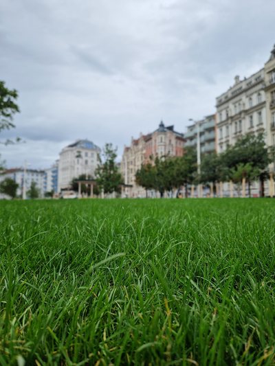 SPÖ Wien
