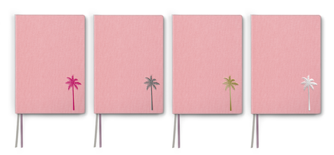 RoseAllDay_multicouleur