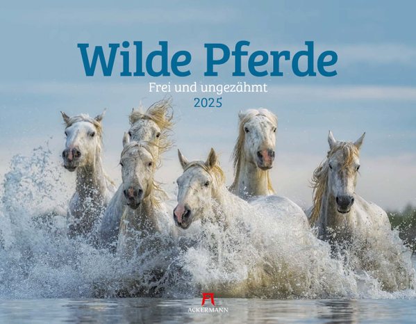 Wilde Pferde