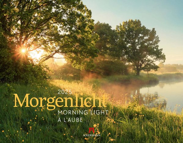 Morgenlicht
