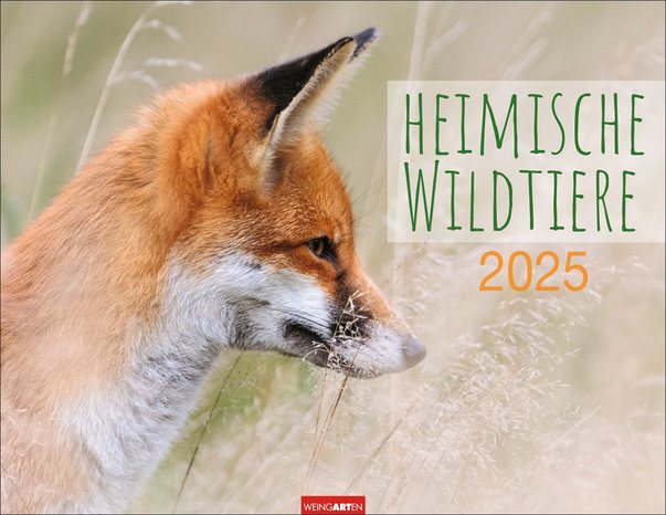 Heimische Wildtiere