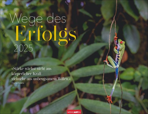 Wege des Erfolgs