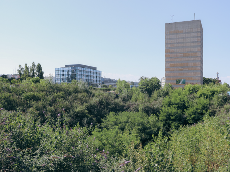 (c) Stadt Wien - MA25