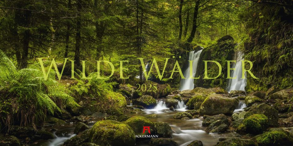 Wilde Wälder